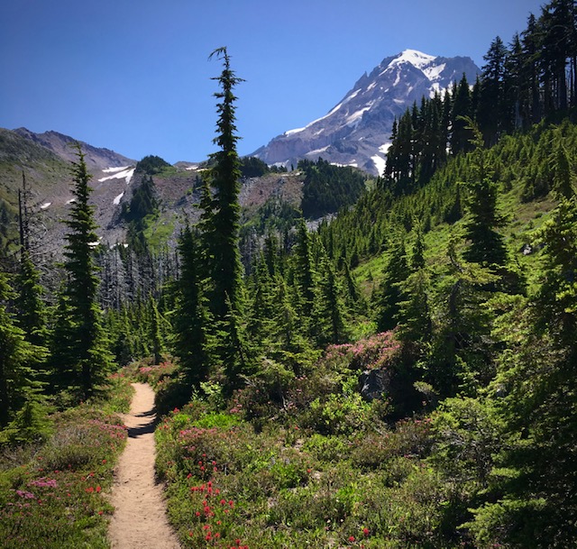 Running Around Mt. Hood on the Timberline Trail Will Run for Whisky