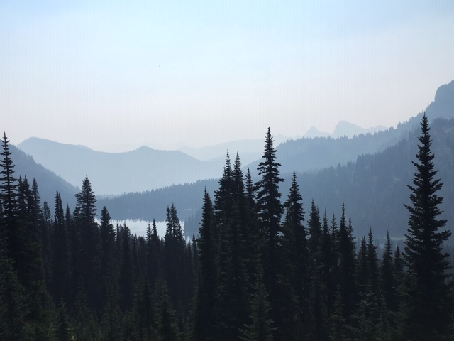 hazy mountains and trees
